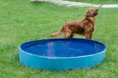 RAIKOU Pet-Club foldable dog pool for small, medium and large dogs. Robust material Paddling pool Ball pit Swimming pool Swimming pool Pet pool with PVC non-slip wear-resistant for children, dogs and cats. Garden indoor outdoor portable, foldable
